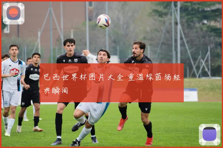 巴西世界杯图片大全 重温绿茵场经典瞬间
