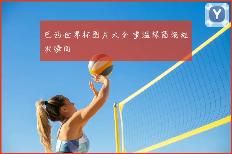 巴西世界杯图片大全 重温绿茵场经典瞬间
