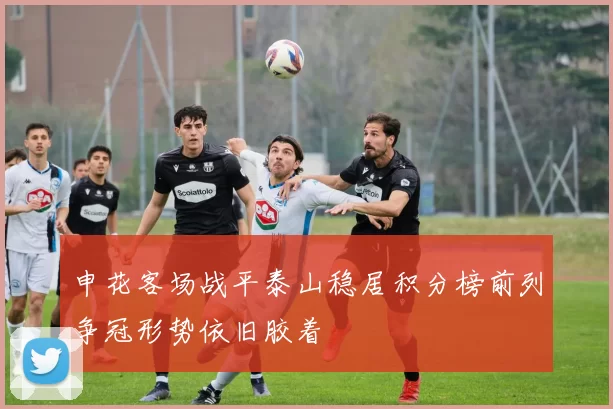 申花客场战平泰山稳居积分榜前列争冠形势依旧胶着
