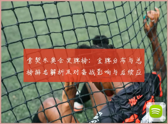 索契冬奥会奖牌榜:金牌分布与总榜排名解析及对备战影响与后续应对