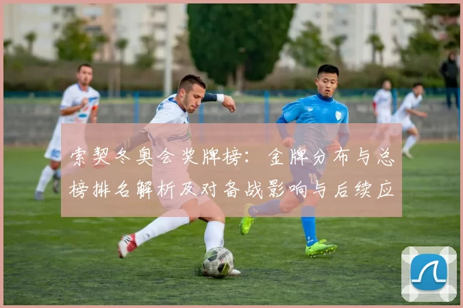 索契冬奥会奖牌榜:金牌分布与总榜排名解析及对备战影响与后续应对